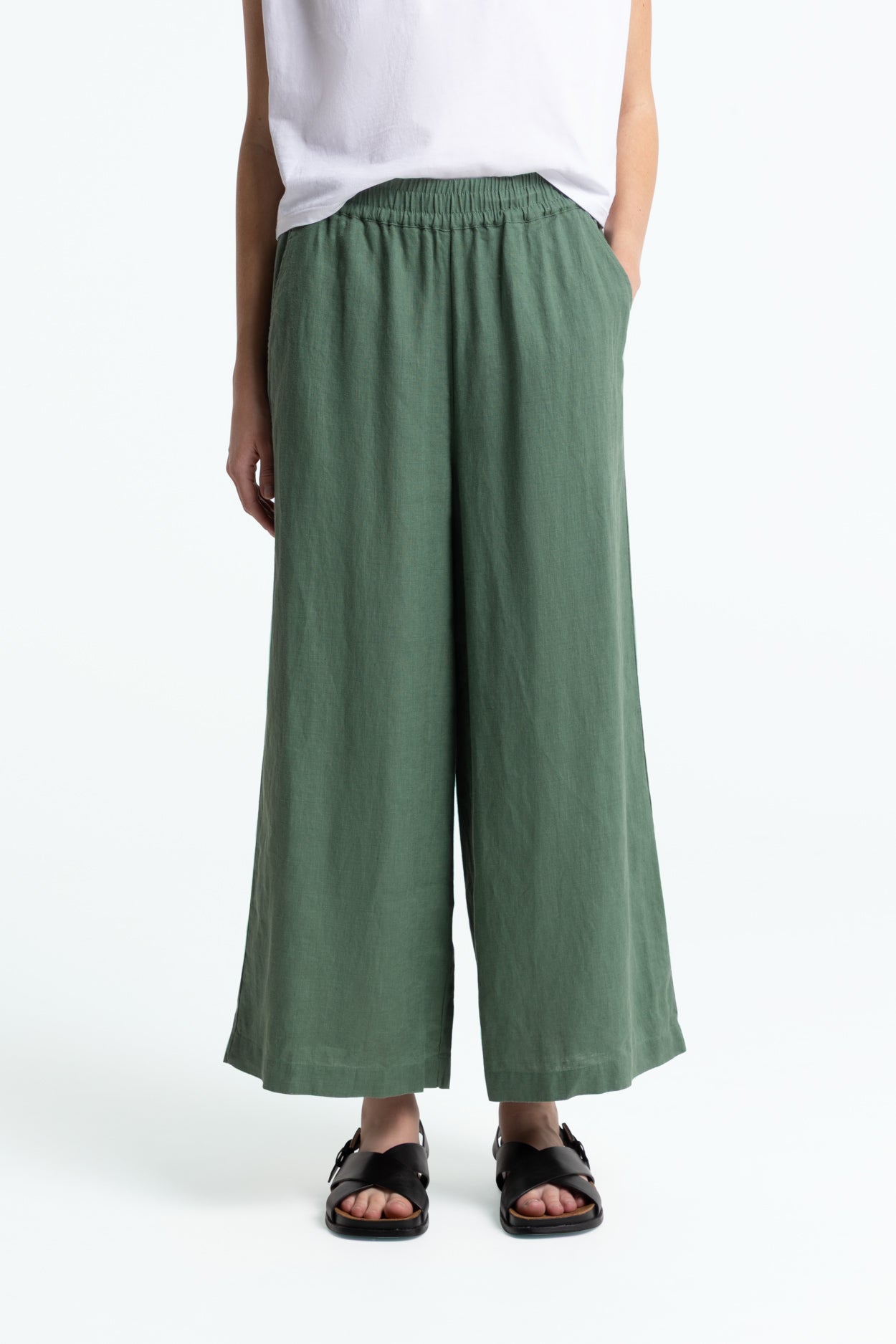 HAZEL | DARK FOREST - Kings Of Indigo