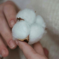 Fibre production